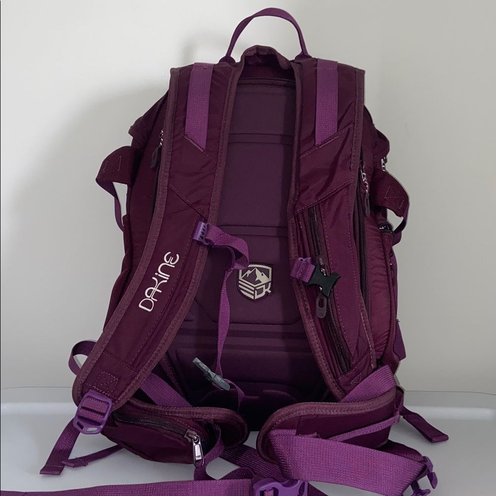 Dakine Pro 2 Ski & Snowboarding Backpack - Picture 3 of 9